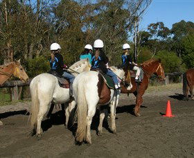 Darkes Forest Riding Ranch - Attractions Brisbane 0
