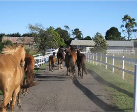 Darkes Forest Riding Ranch - Attractions Brisbane 1
