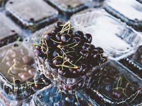 Adelaide Farmers' Market Showground - Attractions Brisbane 1