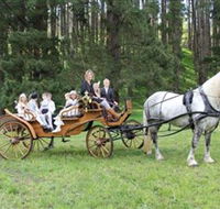 Classic Carriage Drives - Attractions Brisbane