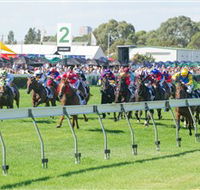 Morphettville Racecourse - Attractions Brisbane