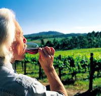 Ashton Hills Vineyard - Attractions Brisbane