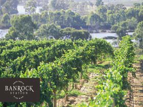 Kingston On Murray SA Attractions Brisbane