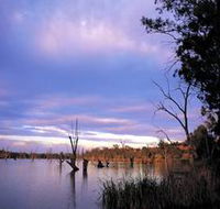 Loch Luna Game Reserve and Moorook Game Reserve - Attractions Brisbane