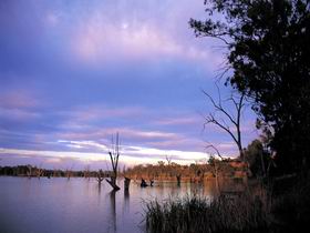 Loch Luna Game Reserve And Moorook Game Reserve - Attractions Brisbane 0
