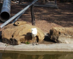 Ram Park - Attractions Brisbane 3
