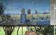 Black Stump - thumb 0