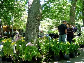 The Stirling Market - Attractions Brisbane 0