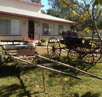 Mr and Mrs Behan Sulky Display - Attractions Brisbane