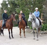 Academy of Dressage - Attractions Brisbane