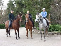 Academy of Dressage