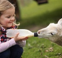 Hahndorf Farm Barn - Attractions Brisbane