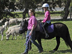Hahndorf Farm Barn - Attractions Brisbane 2