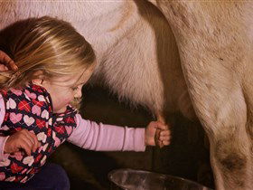 Hahndorf Farm Barn - Attractions Brisbane 1