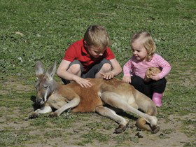 Hahndorf Farm Barn - Attractions Brisbane 3