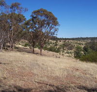 Onkaparinga River National Park - Attractions Brisbane