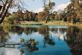 Echunga Golf Club Incorporated - Attractions Brisbane 1