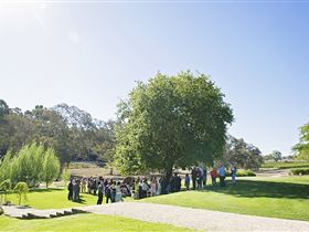 Howard Vineyard - Attractions Brisbane 1