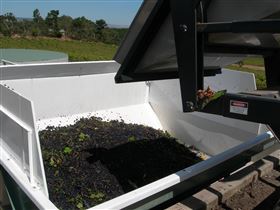 Possingham And Summers Cellar Door - Attractions Brisbane 1