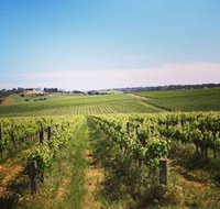 Adelaide Winemakers - Attractions Brisbane
