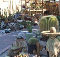Cactus Creations - Attractions Brisbane