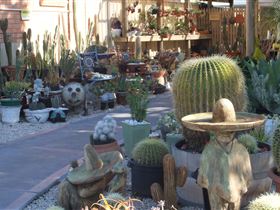 Cactus Creations - Attractions Brisbane 0