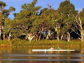 Martin Bend Reserve - Attractions Brisbane 0