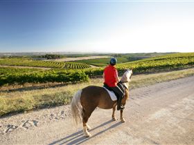 Kidman Trail - Attractions Brisbane 0