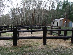 Kidman Trail - Attractions Brisbane 2