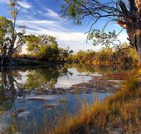 Murray River National Park - Attractions Brisbane
