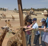 Monarto Open Range Zoo - Attractions Brisbane