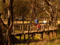 Loxton's Drives Walks and Trails