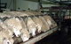 Island Pure Sheep Dairy And Cheese Factory - thumb 0