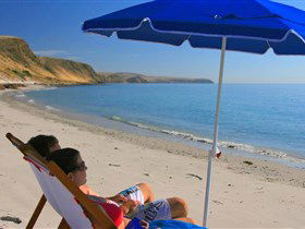 Lady Bay Beach - Attractions Brisbane 0