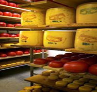 Alexandrina Cheese Company - Attractions Brisbane