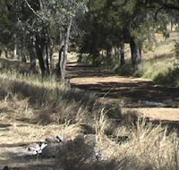 Chudleigh Park Gem Fields - Attractions Brisbane