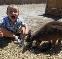 Animal Farm Goolwa - Attractions Brisbane