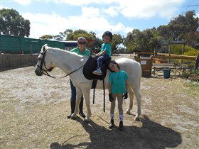 Animal Farm Goolwa - Attractions Brisbane 2