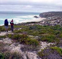 Murray Lagoon - Cape Gantheaume Conservation Park - Attractions Brisbane
