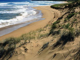 Hayborough SA Attractions Brisbane