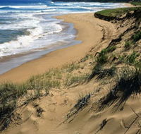 Newland Head Conservation Park - Attractions Brisbane