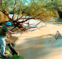 Charleville - Ward River Fishing Spot - Attractions Brisbane