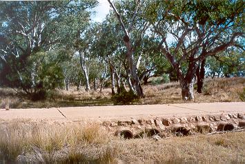 Charleville - Ward River Fishing Spot - Attractions Brisbane 1