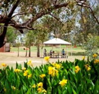 Charleville - Graham Andrews Parklands - Attractions Brisbane