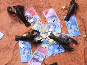 BAILEY BAR CARAVAN PARK - Attractions Brisbane 2