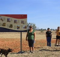 Coolibah Walk - Attractions Brisbane