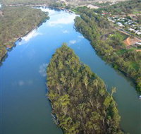 Sturt's Tree - Attractions Brisbane
