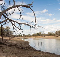 Toorale National Park - Attractions Brisbane