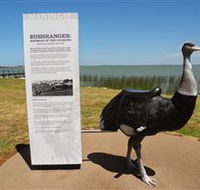 Birdman of the Coorong - Attractions Brisbane