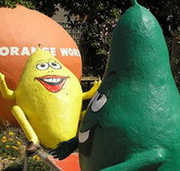 Orange World - Attractions Brisbane